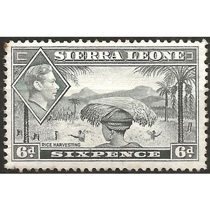 Sierra Leone 1938 SG195 6d Grey Mounted Mint . .