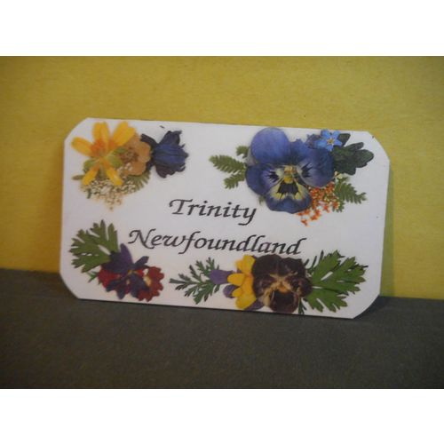 Trinity Newfoundland,Canada Fridge Magnet