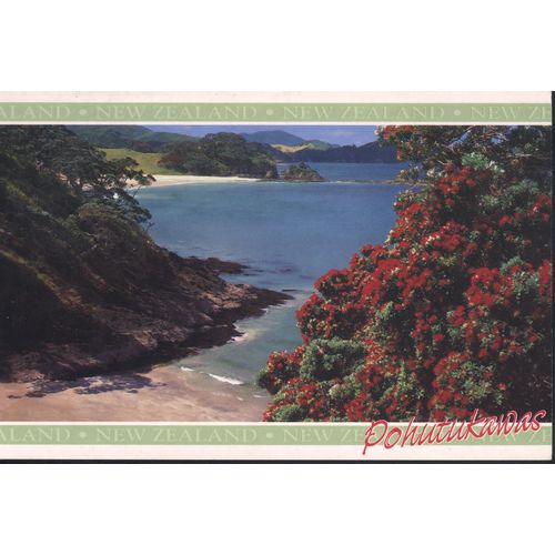 New Zealand PC 1997 - Pohutukawas in bloom, New Zealand