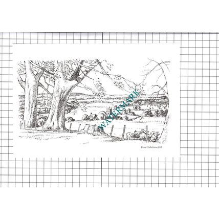 Cothelstone Hill Somerset - 1980's Cutting / Print