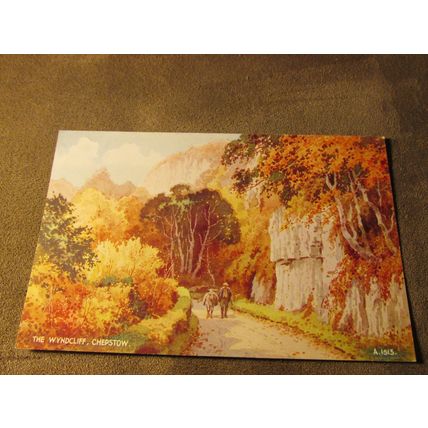 Valentines Postcard - Wyndcliff Chepstow Monmouthshire - Artist E.W.H / A1513