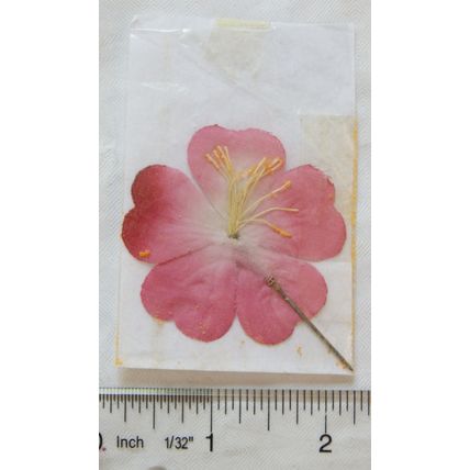 vintage Pin Badge - Red Flower
