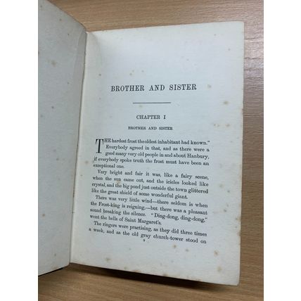 RARE* 1908 ELIZABETH J LYSAGHT "BROTHER AND SISTER" FICTION ANTIQUE BOOK (P4)