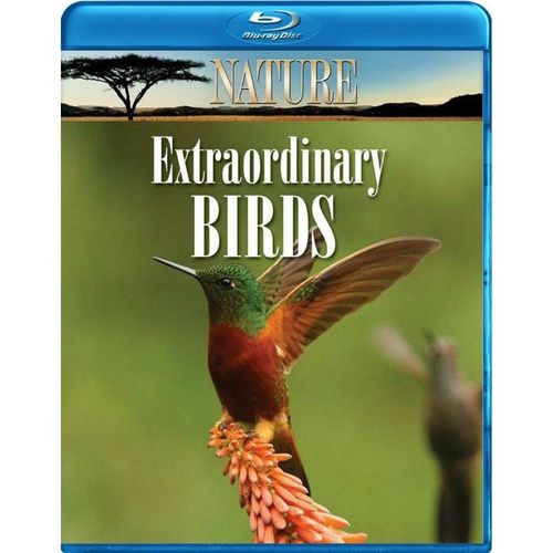 Nature: Extraordinary Birds (Blu-ray + DVD + Dig.Copy) hummingbirds, parrots NEW
