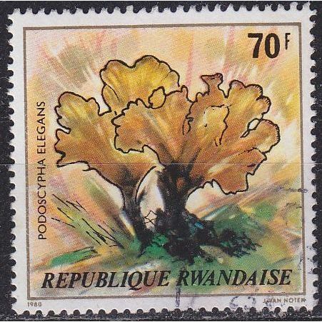 RUANDA RWANDA [1980] MiNr 1057 ( OO/used ) Pflanzen