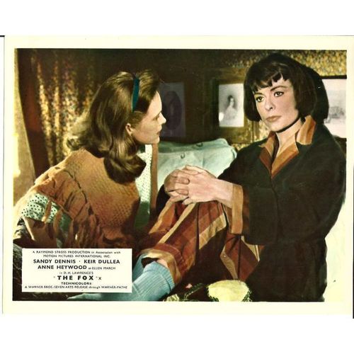 THE FOX Sandy Dennis, Keir Dullea, Anne Heywood 1967 F-O-H Stills Set (8)