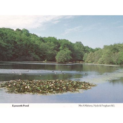 Eyeworth Pond Hampshire Rare Womens Institute Postcard