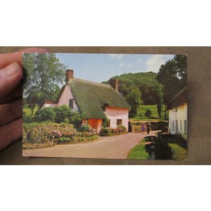 1960 Postcard - Rose Cottage, Dunster -Nr Exmoor Somerset