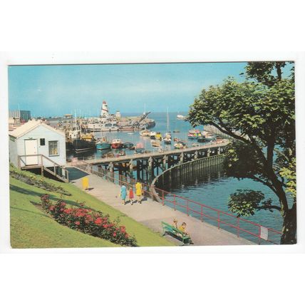 The Harbour from Knockcushan Gardens Girvan Postcard Ayrshire Scotland