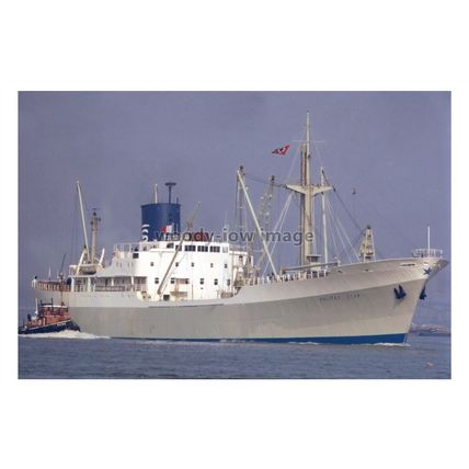 SL0780 - Blue Star Cargo Ship - Halifax Star on charter - photograph 6x4