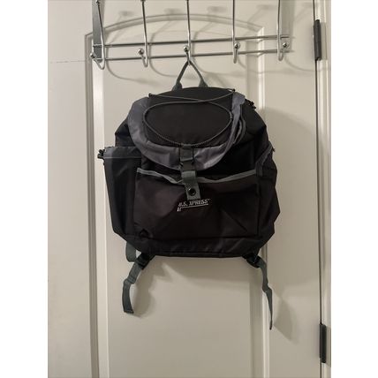 U.S. Express Insulated Cooler Backpack Bag Small Black & Gray