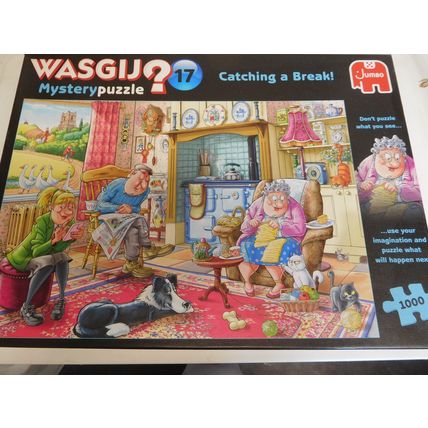 1000 piece jigsaw puzzle WASGIJ MYSTERY 17 CATCHING A BREAK