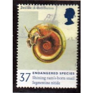 Great Britain 1998 Endangered Species 37p Ram's Horn Snail Used SG 2018 stamp