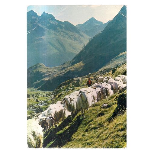 PYRENEES MOUNTAINS , FRANCE used postcard 1982 postmark #