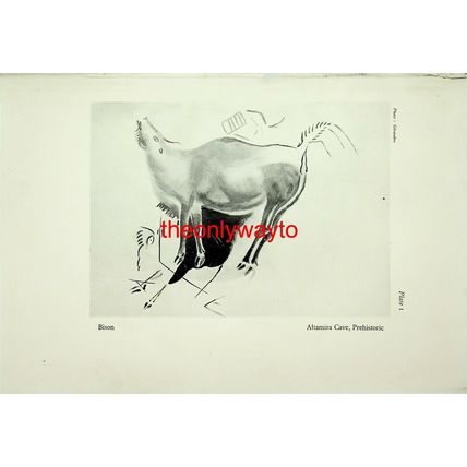Bison. Altamira Cave, Prehistoric, Book Illustration (Print), 1929
