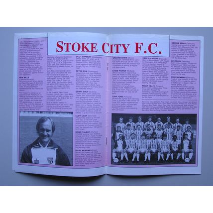 SHEFFIELD WEDNESDAY v STOKE CITY Simod Cup 2nd Round 01/12/1987