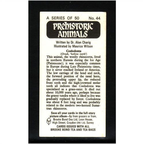 Brook Bond Prehistoric Animals Coelodonta No 44 Mint