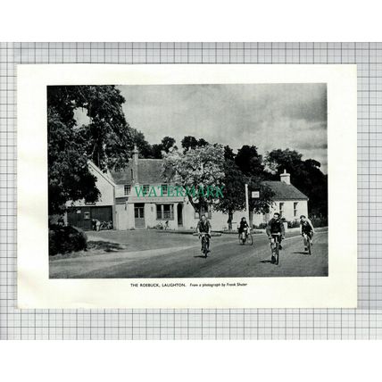 (6571) The Roebuck Laughton - 1954 Cutting