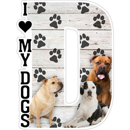 I Love My Dogs Fridge Magnet