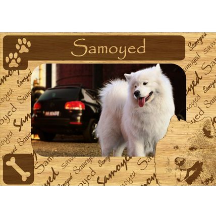 Samoyed w Paws Engraved Wood Picture Frame Magnet