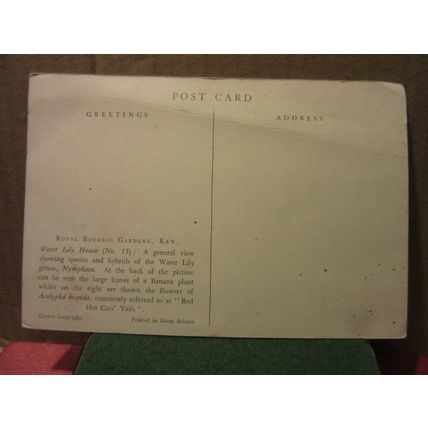 WATER LILY HOUSE, ROYAL BOTANIC GARDENS, KEW LONDON .. unused vintage postcard =