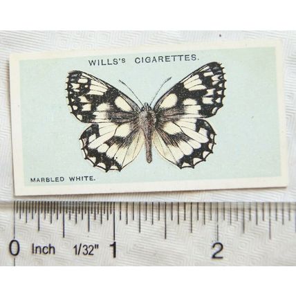 1927 Wills British Butterflies No. 46 Marbled White
