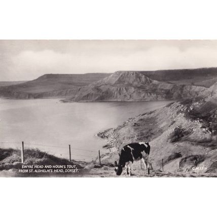 Swyre Head Houns Tot Aerial Rare Vintage Real Photo Dorset Postcard
