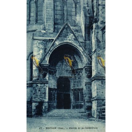 Noyon Cathedrale, Entree, France, 17 Postcard, 1920s