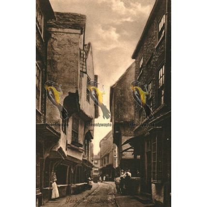 York, The Shambles, Yorks, 18448a Pristine Early Frith's Saxony Postcard