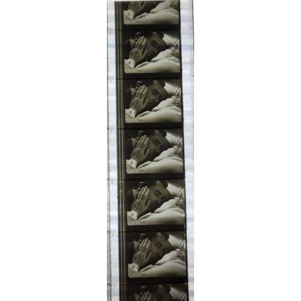 NOTORIOUS. Pk MTP - A016p. 1 STRIP OF 5 - 35MM FILMCELLS