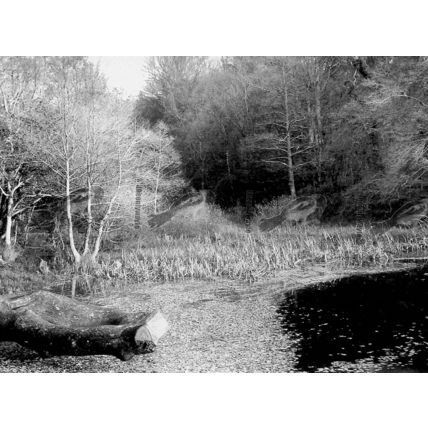 Waggoners Wells, Surrey, B & W Photo Book Illustration (Print), 1937