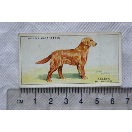 1937 Wills Dogs No. 25 Golden Retriever