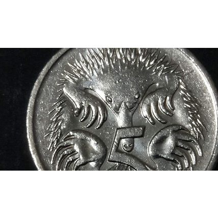Australia 2009 5c Echidna ~ Die Chip/Cud on Front Claw - Circulated [3a]