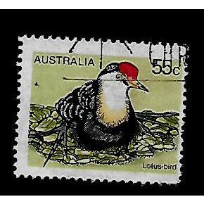 AUSTRALIA 1979 BIRDS 55c LOTUS BIRD SG 680 FINE USED