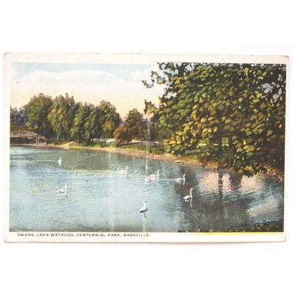 vintage postcard Swans Lake Watauga Cent. Pk. Nashville