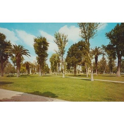 Court House Park Gardens Merced Calafornia Postcard