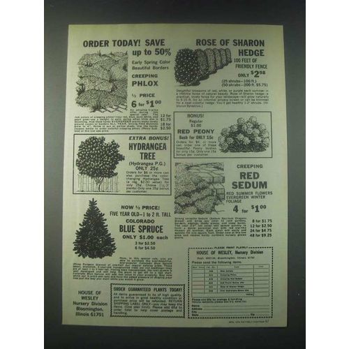 1978 House of Wesley Nursery Ad - Creeping Phlox, Hydrangea Tree