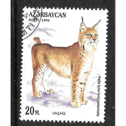 AZERBAIJAN 1994 WILDCATS 20M LYNX SG 197 FINE USED