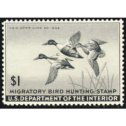 RW12, Mint VF NH $1 Federal Duck Stamp - Stuart Katz