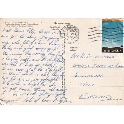 South Africa Postcard 1972 - Elephants In Kruger National Park