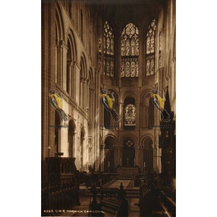 Choir Norwich Cathedral, Norfolk, 4996 Judges Postcard