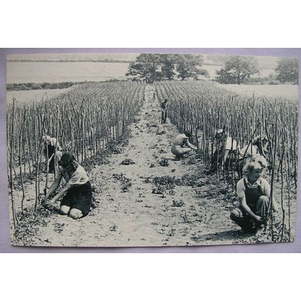c.1980s PC WWII Land Girls Planting Tomatoes