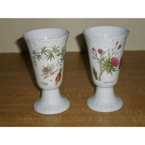 Two Beautiful Vintage French Botanical Goblets