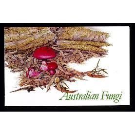 Australia 1981 Fungi set presentation pack