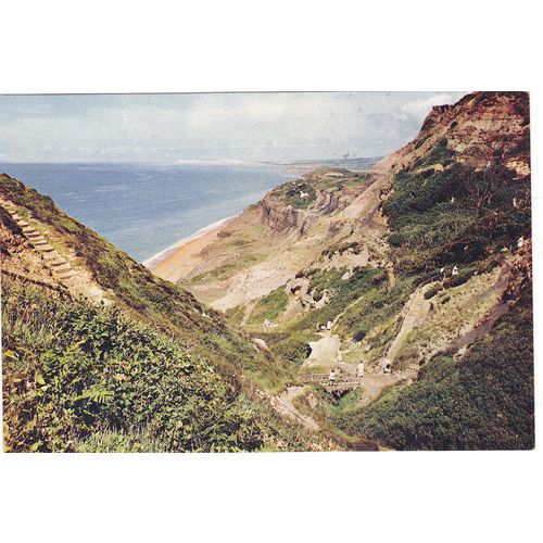 Blackgang Chine(IW385) Isle of Wight Postcard (IOW75752)