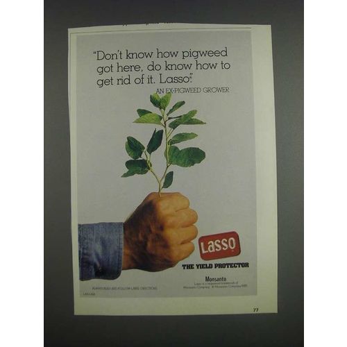 1985 Monsanto Lasso Ad - Don't know how pigweed got here