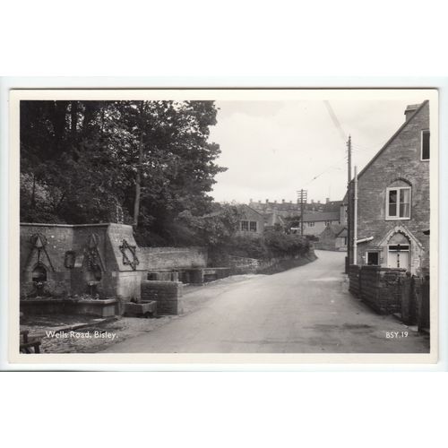 Wells Road Bisley Postcard RP Gloucestershire BSY19