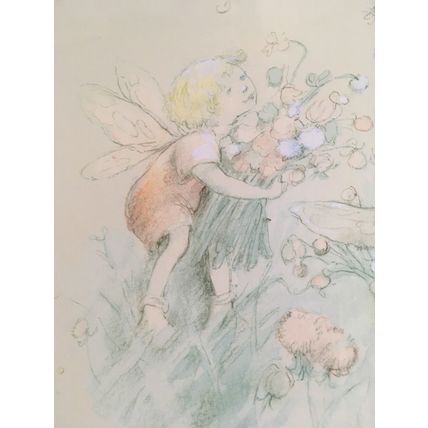 Baby Fairies Picking Flowers Mounted & Framed Print By Beverlie Manson