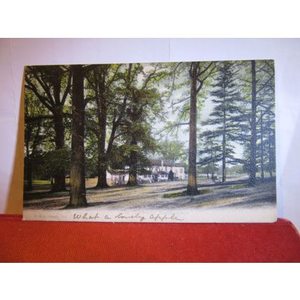 THE COWHERDS INN, SOUTHAMPTON, HAMPSHIRE. used antique postcard 1905 pm #