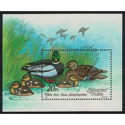 Hungary Birds Wild Ducks MS 1988 MNH SG#MS3856 MI#Block 199A